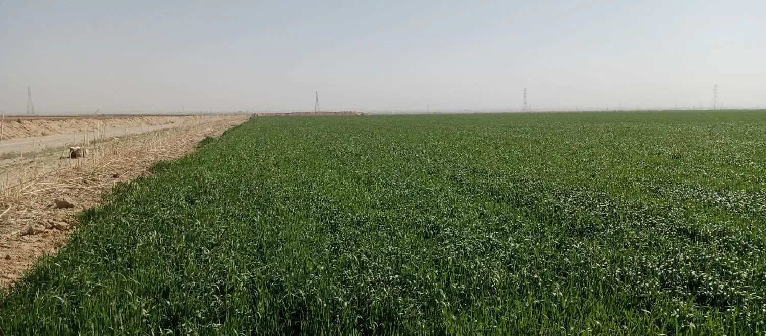 چاه عمیق و زمین کشاورزی|فروش دفتر صنعتی، کشاورزی، تجاری|چناران, |دیوار