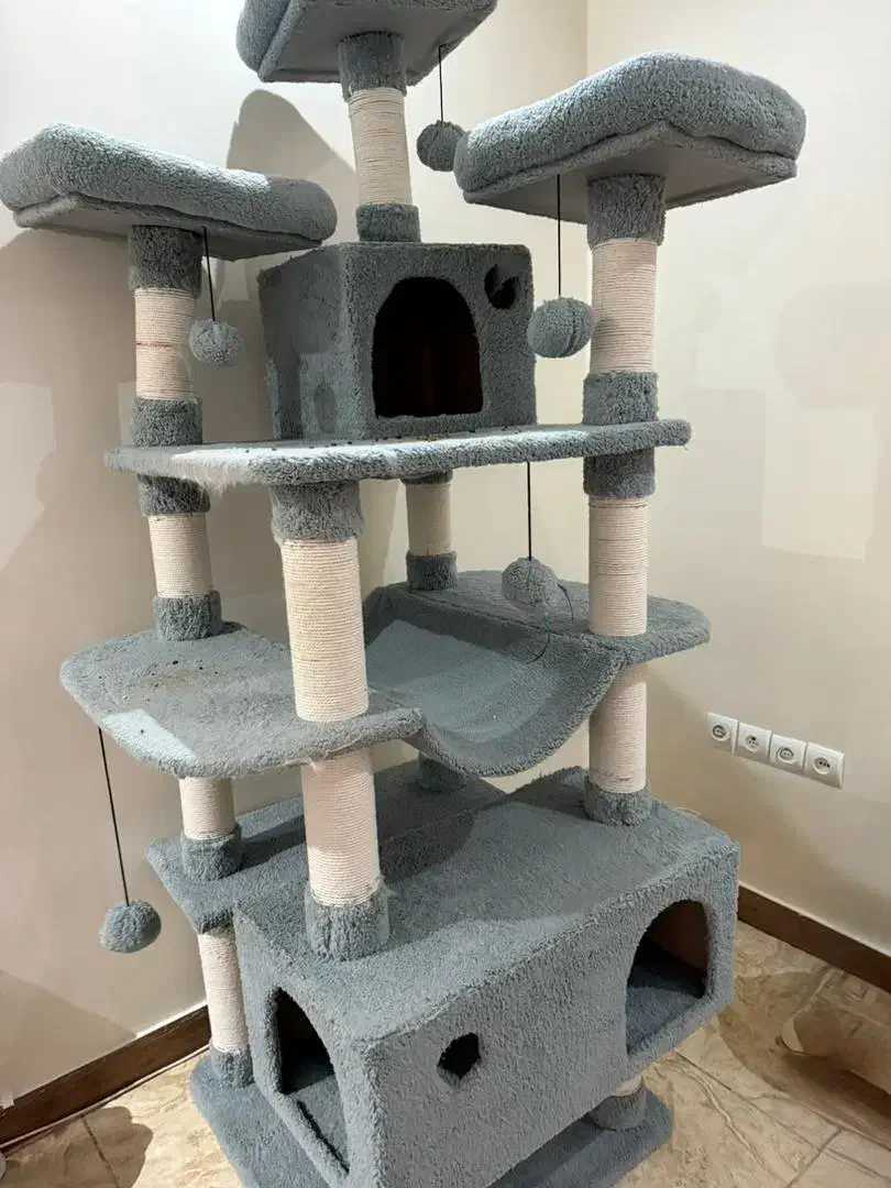 اسکرچر گربه هتل گربه ای|لوازم جانبی حیوانات|تهران, باغ خزانه|دیوار