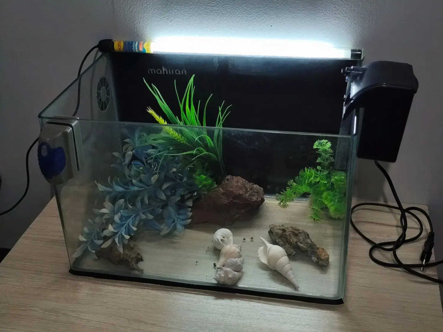 آکواریوم ماهیران|ماهی|اهواز, ۲۵۴دستگاه|دیوار