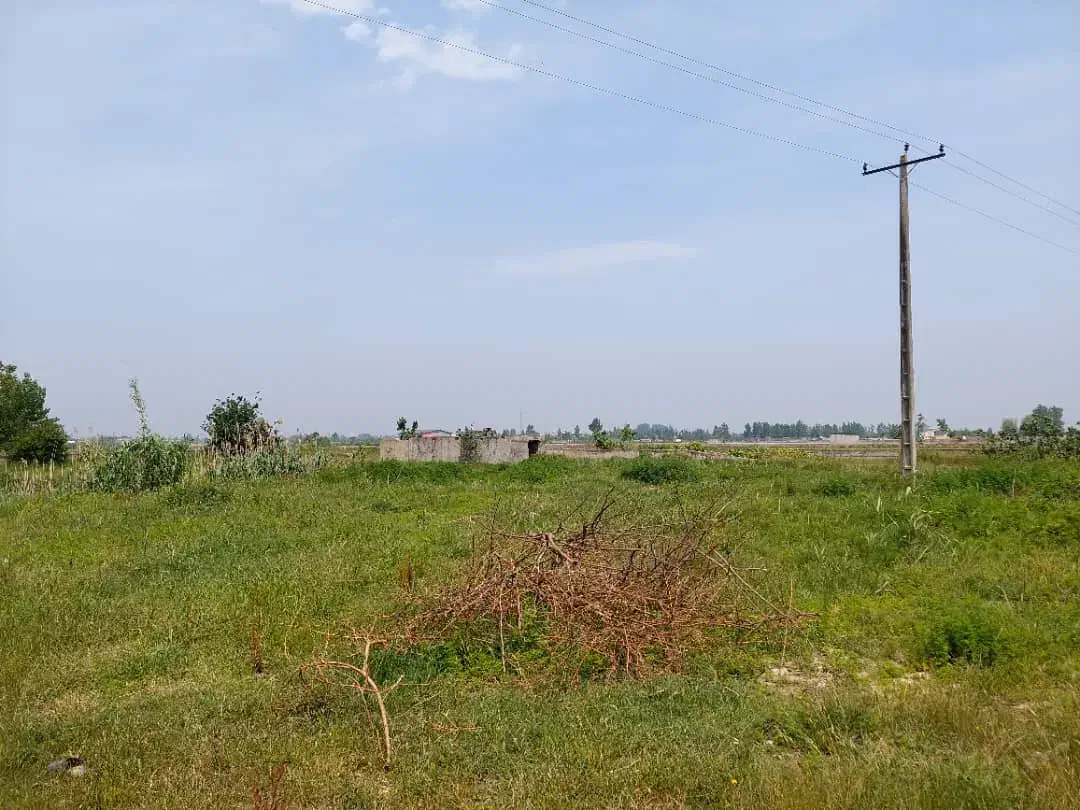 زمین صنعتی بر خیابان اصلی تهاتر دارد|فروش دفتر صنعتی، کشاورزی، تجاری|آمل, |دیوار