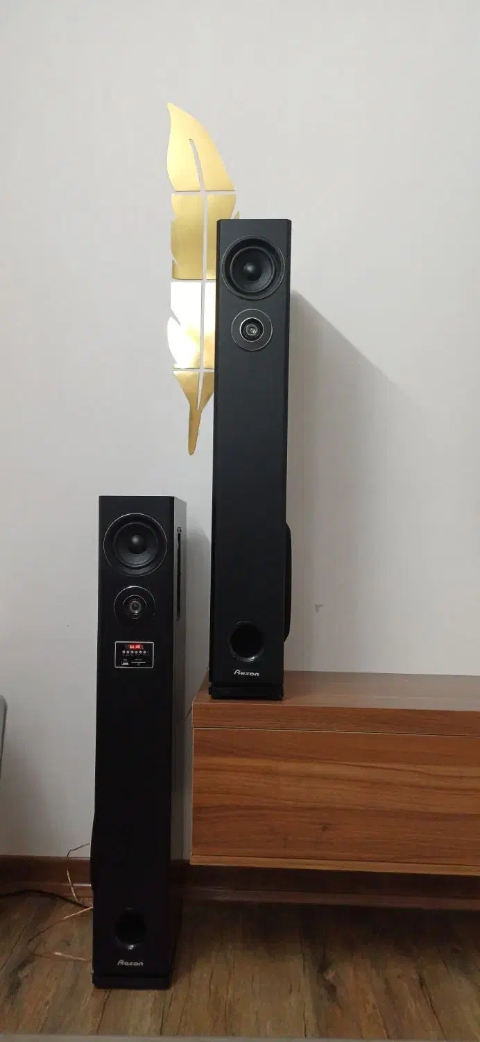 اسپیکر پر قدرت  رکسون|سیستم صوتی خانگی|بروجرد, |دیوار