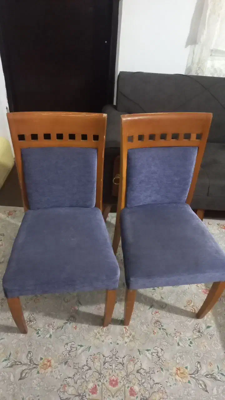 دو عدد صندلی مقاوم|صندلی و نیمکت|بندر انزلی, نیمه شعبان|دیوار