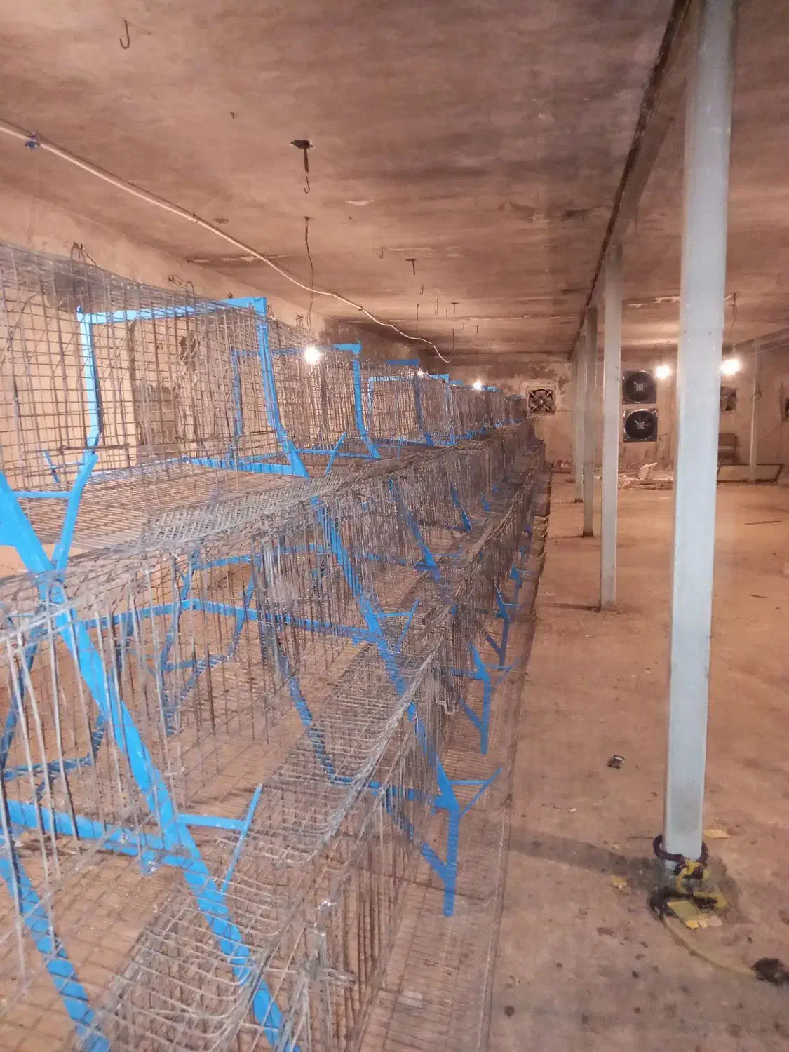 قفس منبری خیلی سالم و بازسازی مفتول زخیم|عمده‌فروشی|نقده, |دیوار