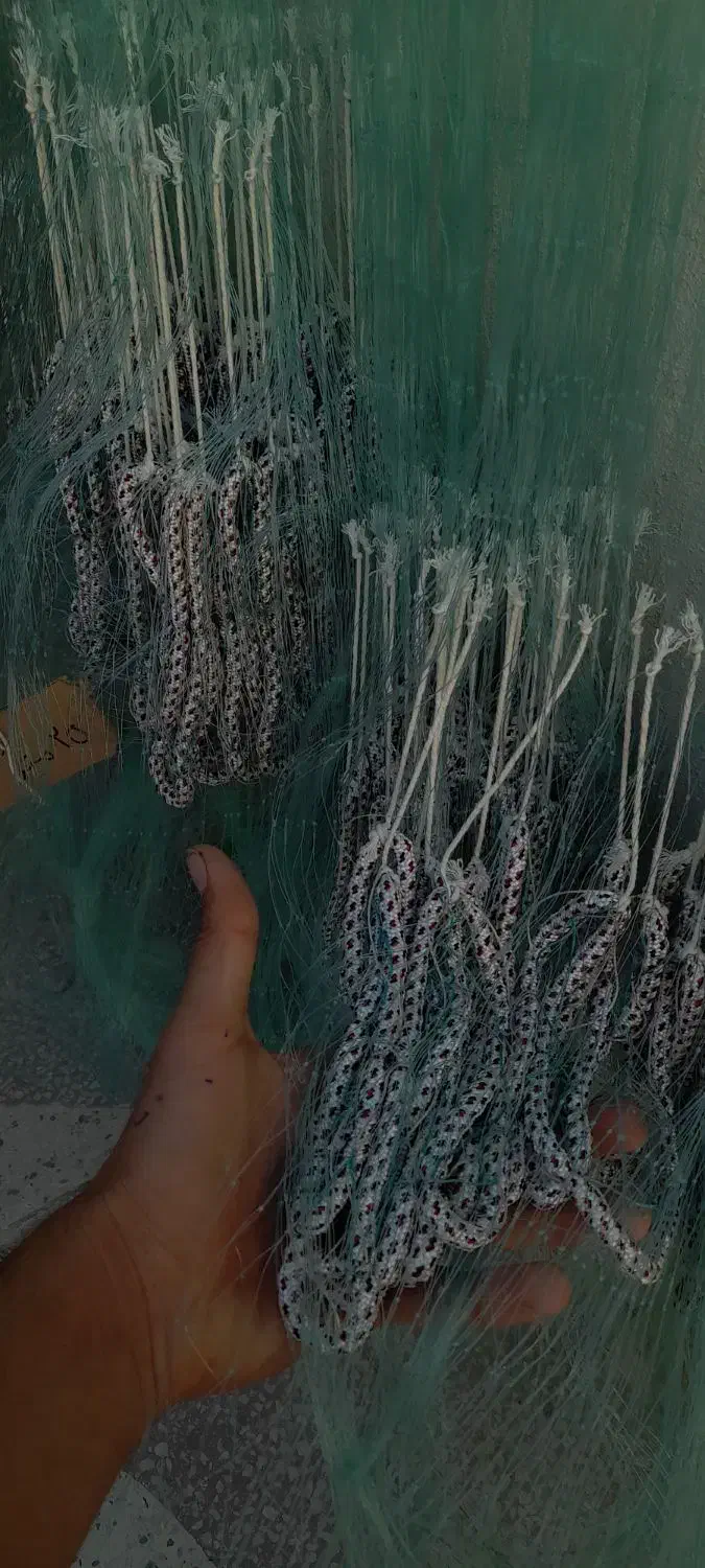 شکار بالا|ماهیگیری|خرم‌آباد, |دیوار