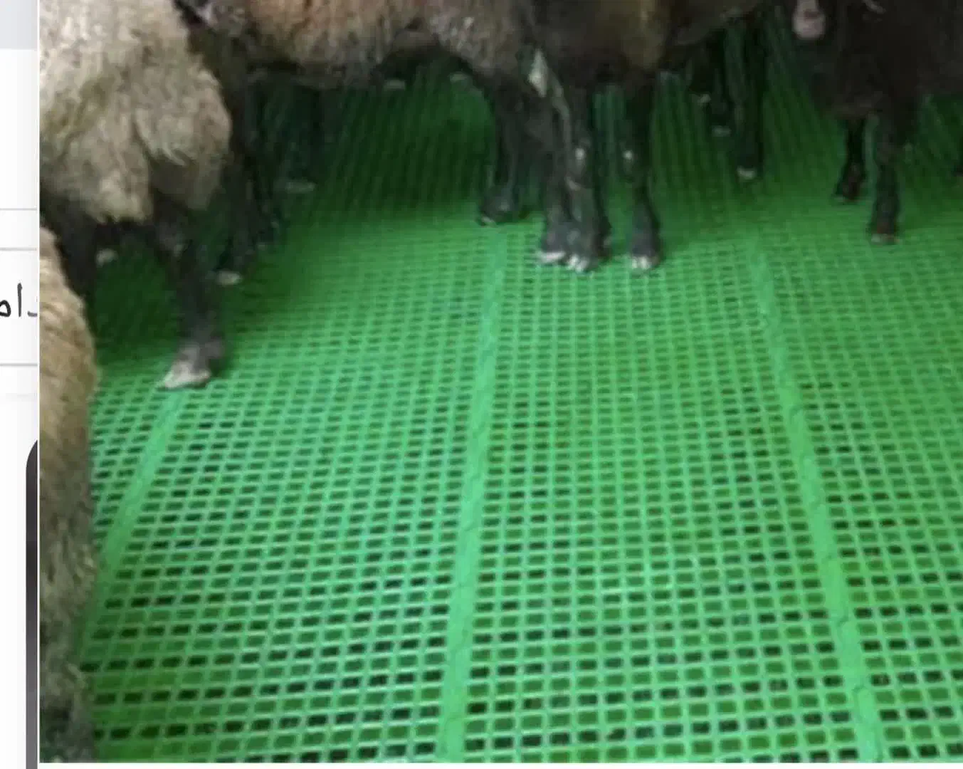 پالت پلاستیکی دامداری یا مرغداری|ابزارآلات|دلیجان, |دیوار