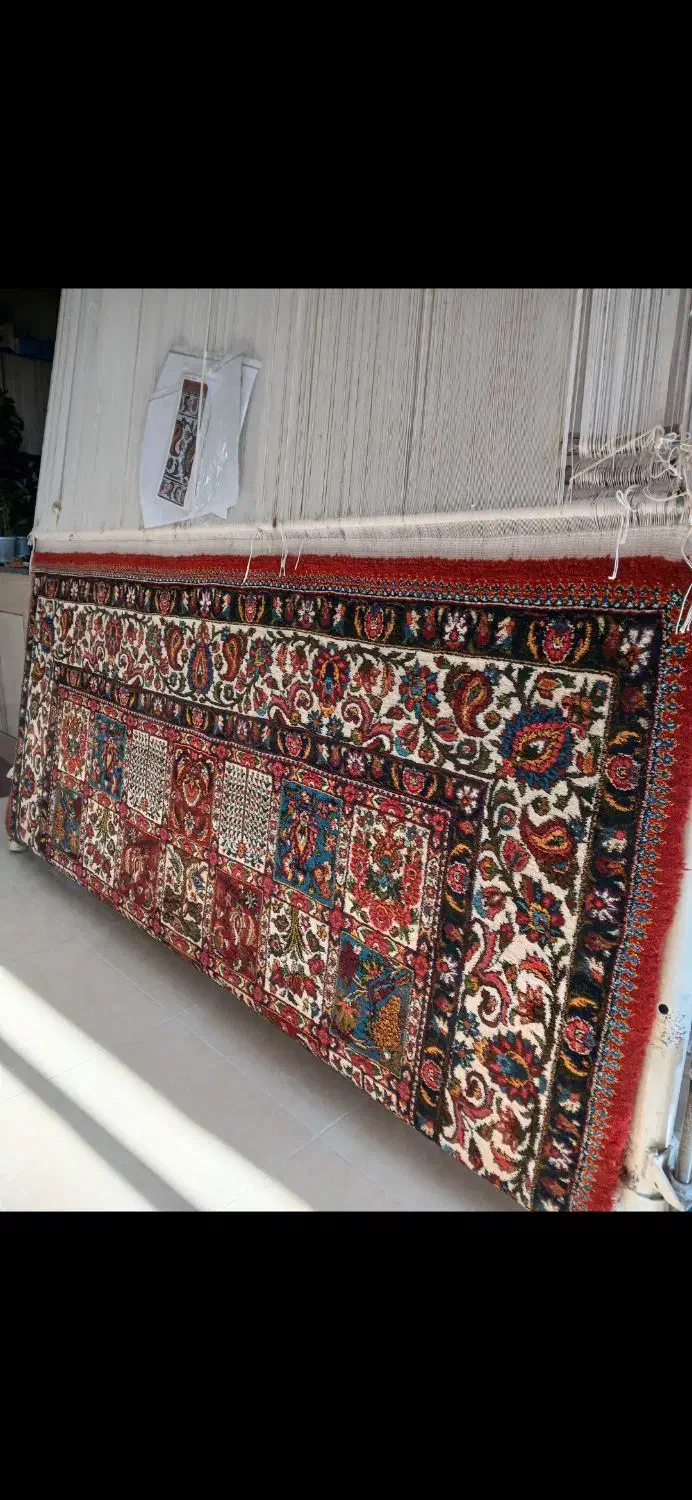 قالی دست بافت|فرش|شهرکرد, |دیوار