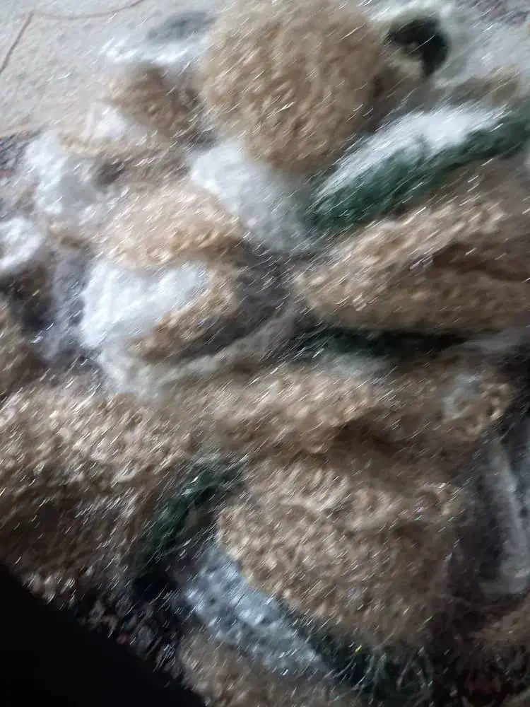 اسکاج الیاف|لوازم نظافت|اندیمشک, |دیوار