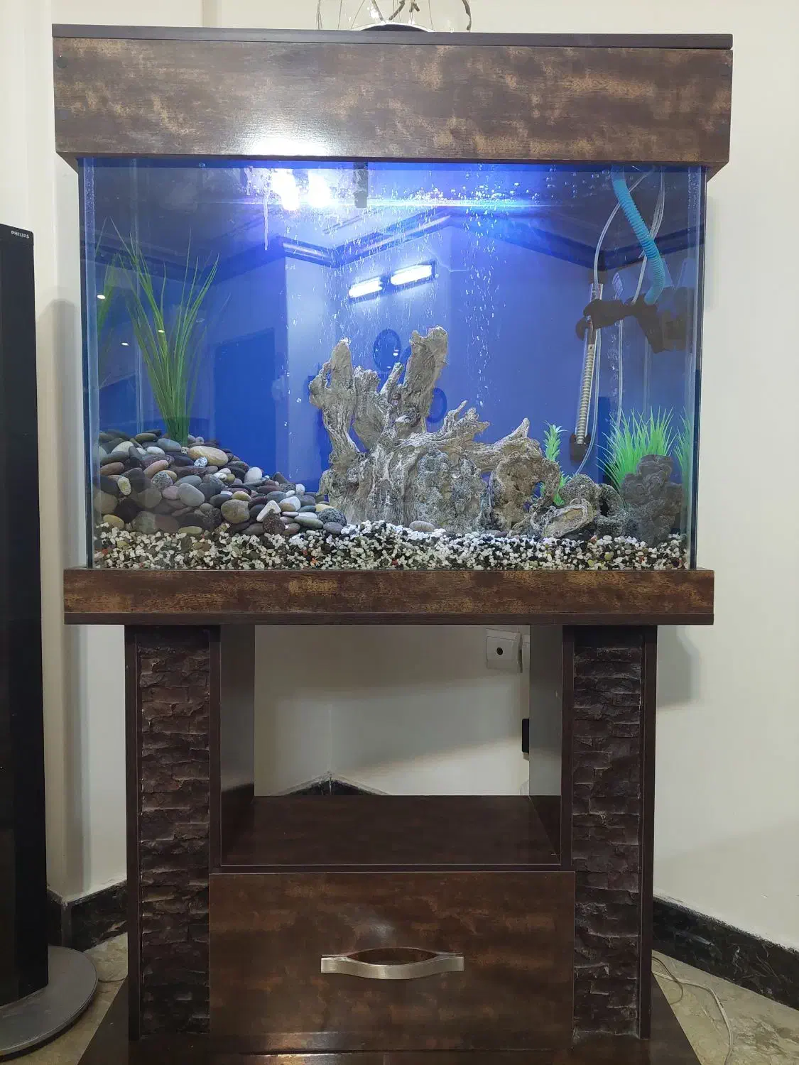 آکواریوم|ماهی|تهران, والفجر (افسریه)|دیوار