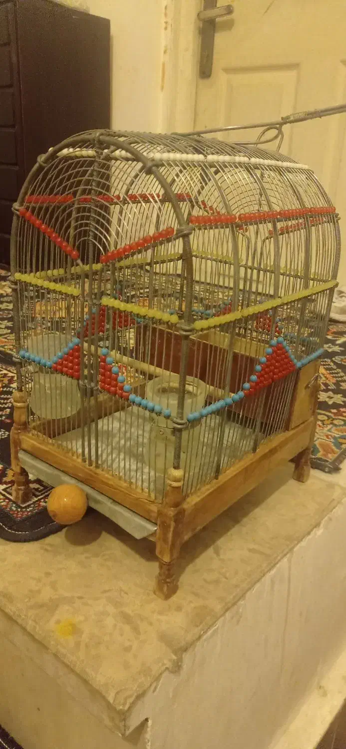 قفس شیک  تزیینی|لوازم جانبی حیوانات|بروجرد, |دیوار