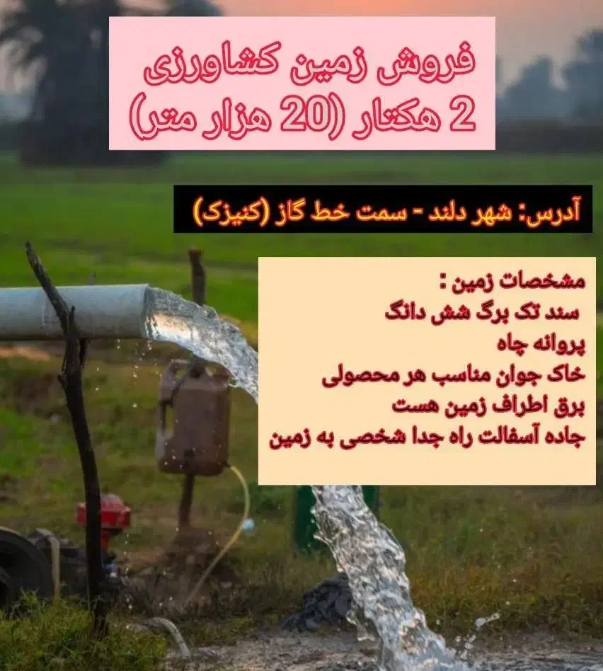 دو هکتار زمین کشاورزی|فروش دفتر صنعتی، کشاورزی، تجاری|دلند, |دیوار