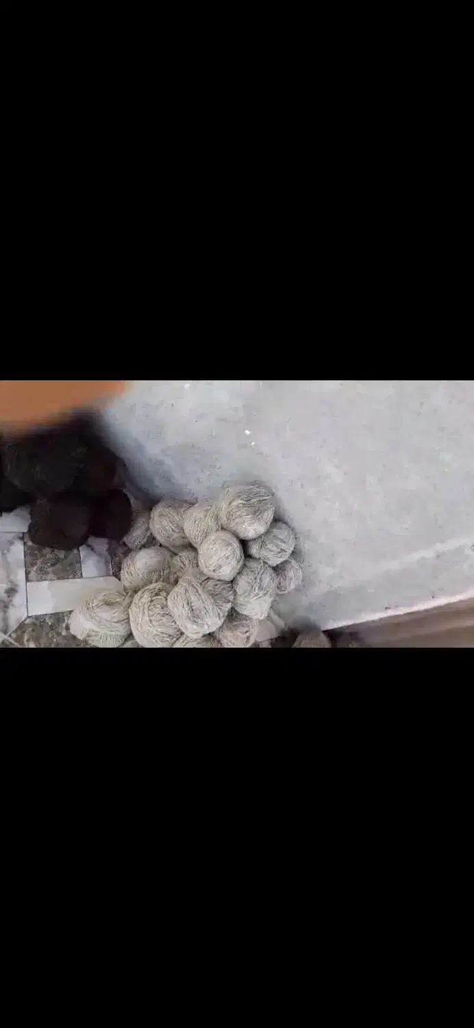 گلیم بافت|گلیم، جاجیم، گبه|شیراز, شاهچراغ|دیوار