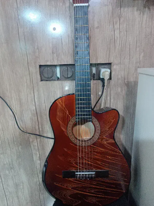 گیتار کات اوی دیاموند|گیتار، بیس، امپلیفایر|گرگان, |دیوار