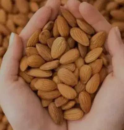 کارگاه شکن خشکبار و پاک کن کشمش اسدی|خوردنی و آشامیدنی|شیراز, علی آباد|دیوار