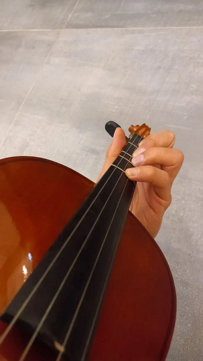 ویلن|ویولن|اصفهان, بهارستان|دیوار