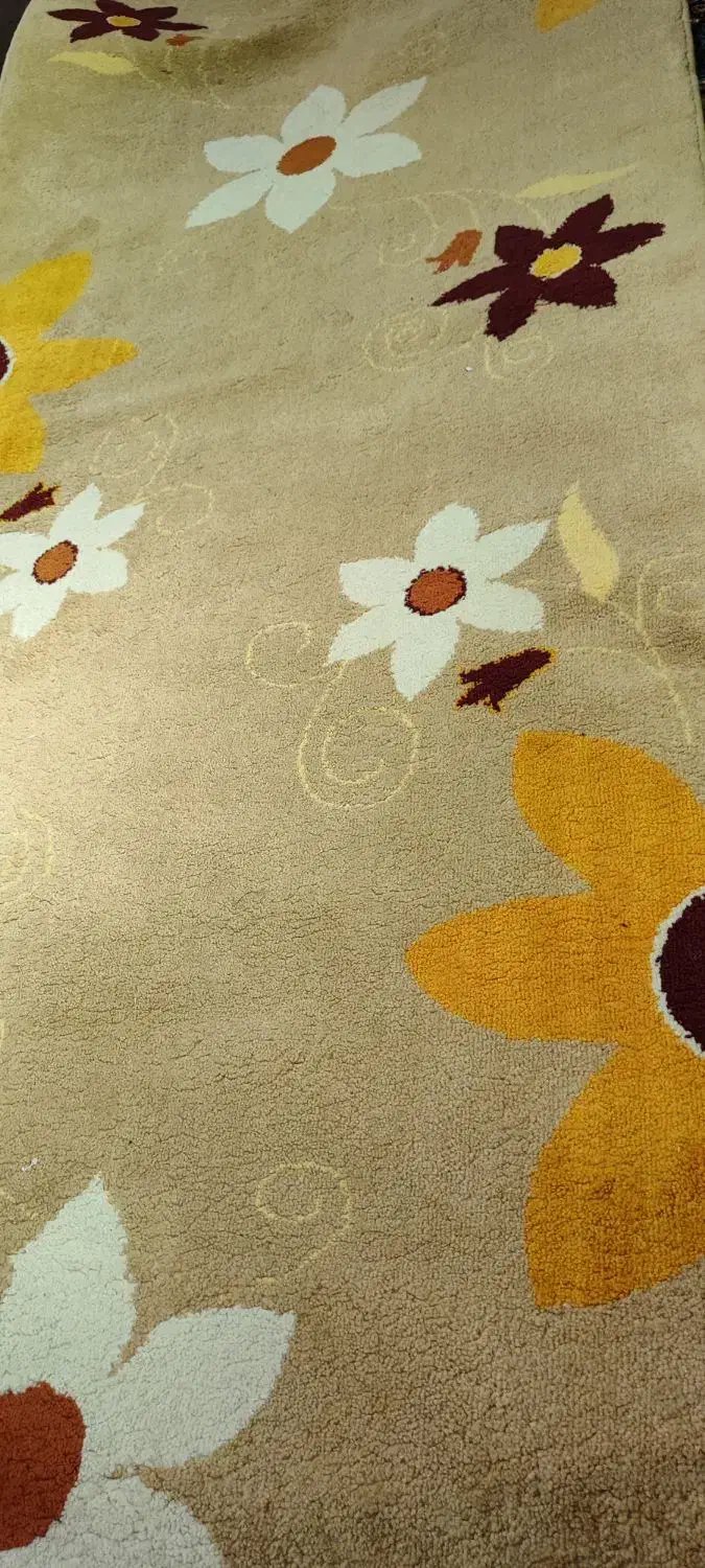 فرش راهرویی دو عدد 4در1 و 5در1|پادری|اهواز, زیتون کارمندی|دیوار