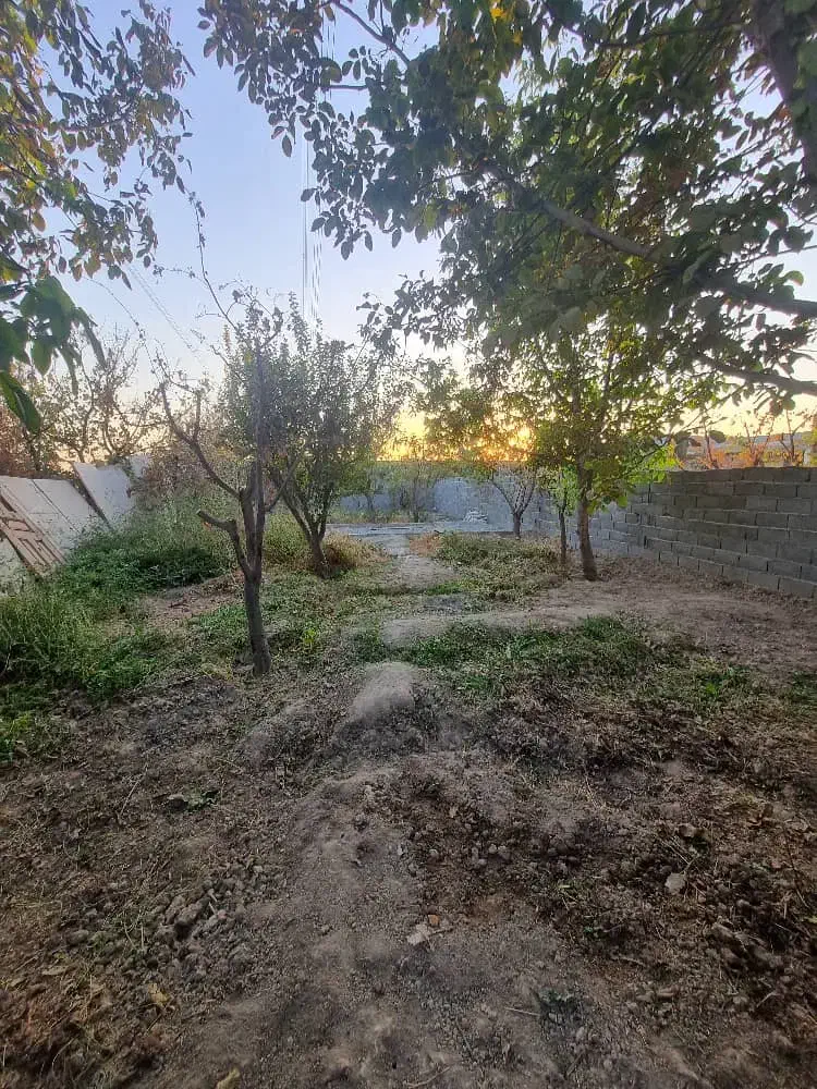 باغچه نقلی ۲۲۰ متری قیمت مناسب درختان قدیمی|فروش زمین و ملک کلنگی|صباشهر, |دیوار