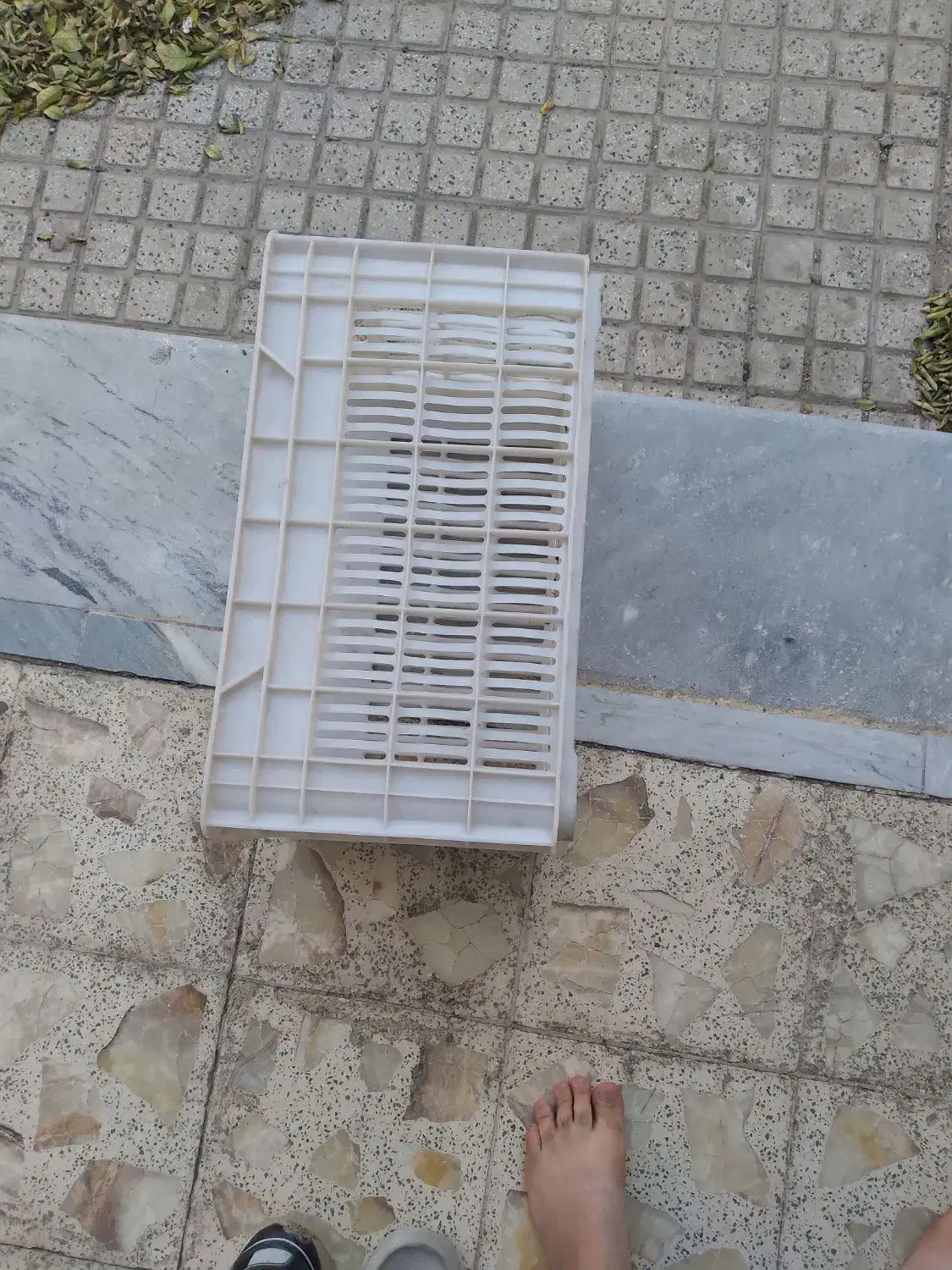 سبد میوه|ظروف نگهدارنده، پلاستیکی، یک‌بارمصرف|ساوه, |دیوار