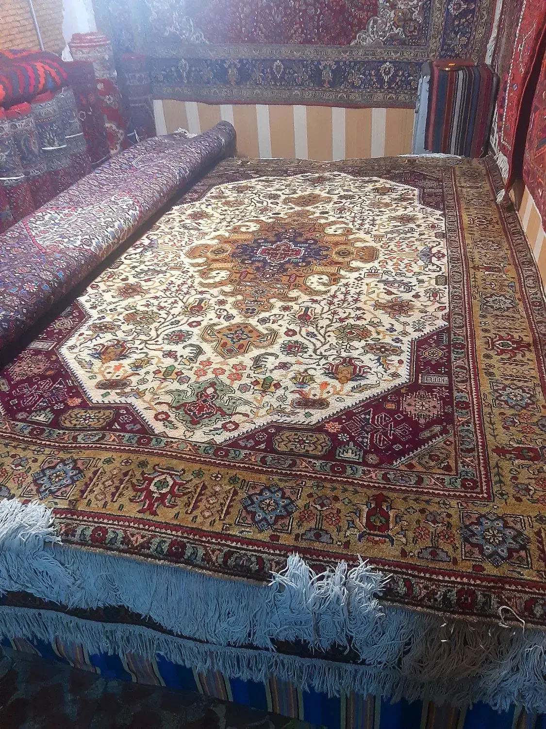 جفت ۶متری کرم|فرش|مراغه, |دیوار