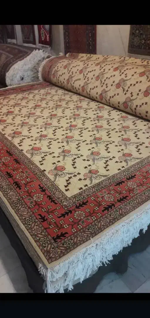 6متری کارکرده جفت گوشتدار|فرش|اردبیل, |دیوار