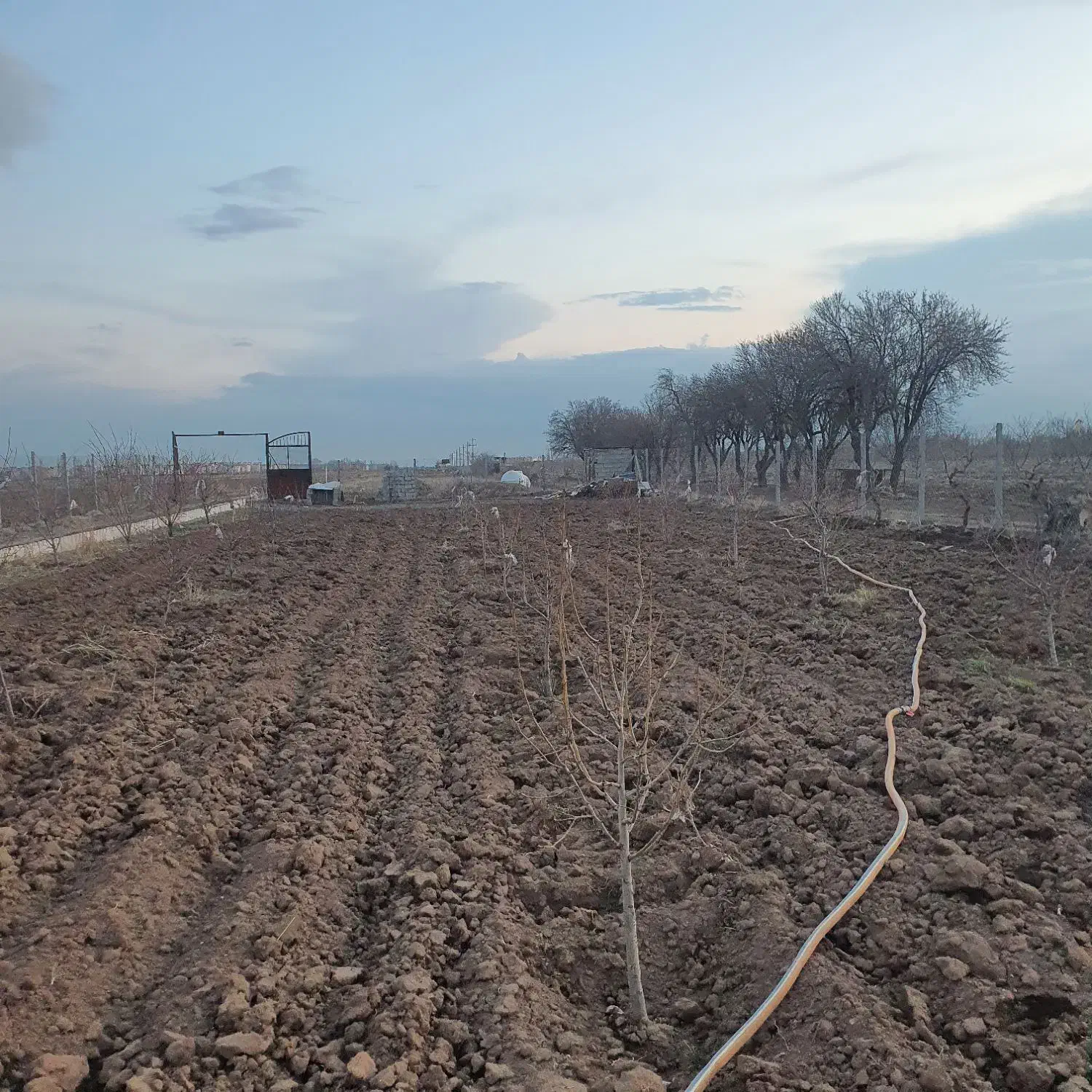 فروش۵۰۰متر باغ آماده فنس شد جهان آباد (املاک مزرعه|فروش زمین و ملک کلنگی|الوند, |دیوار