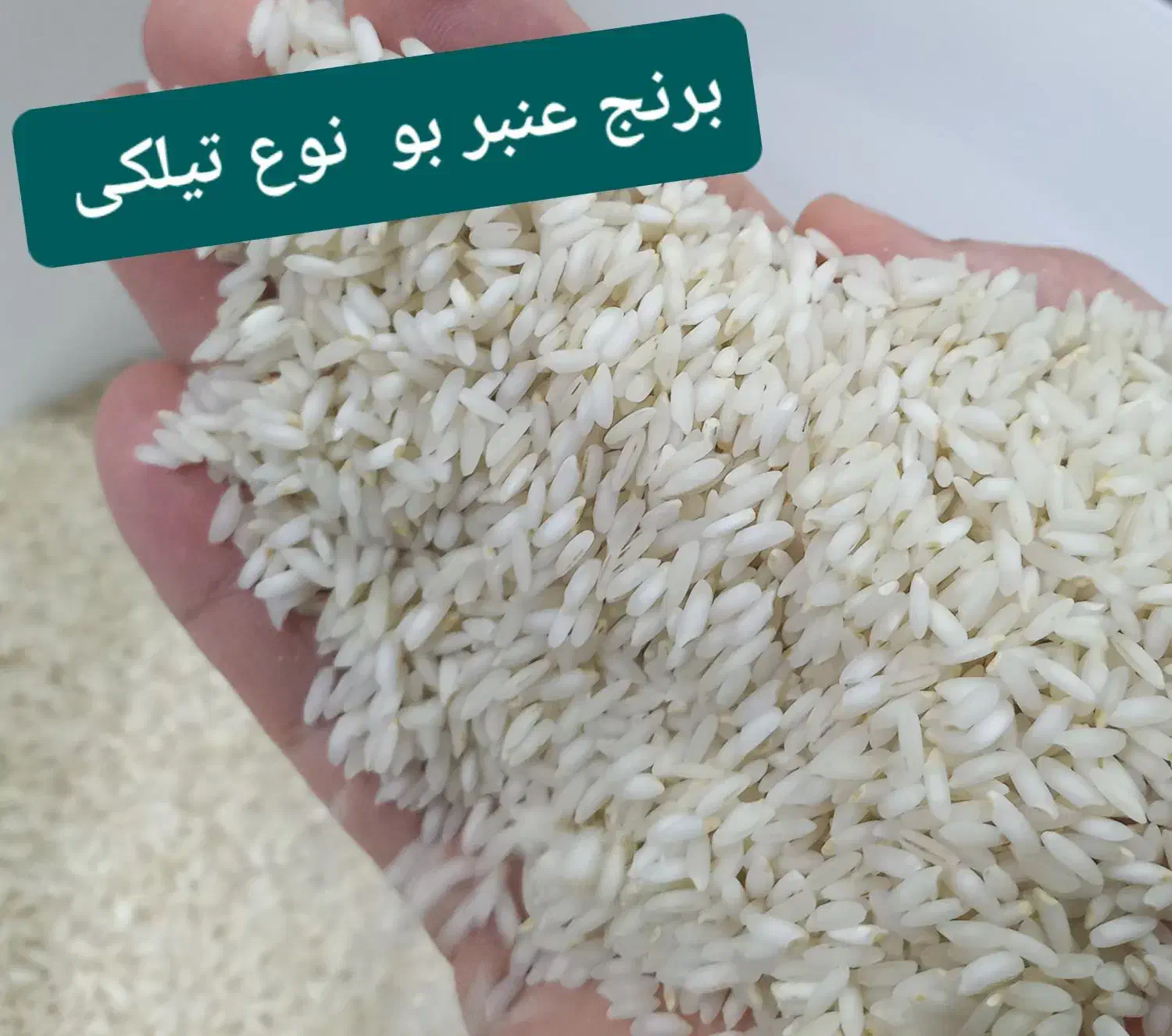 برنج عنبربو درجه 1 در 2 نوع عالی.|خوردنی و آشامیدنی|شوشتر, |دیوار