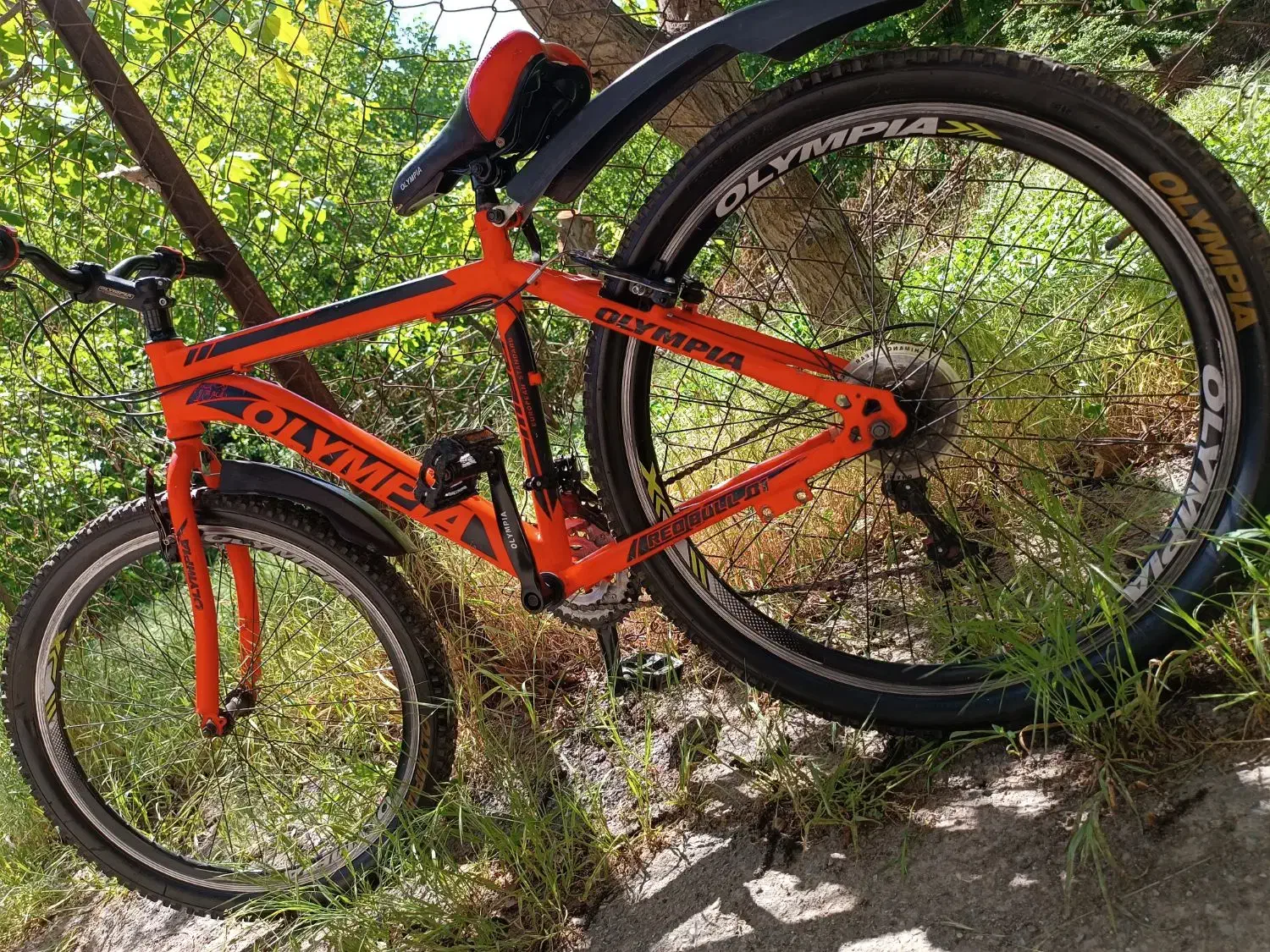 دوچرخه ی المپیا سایز 26|دوچرخه، اسکیت، اسکوتر|هشتگرد, هیو|دیوار