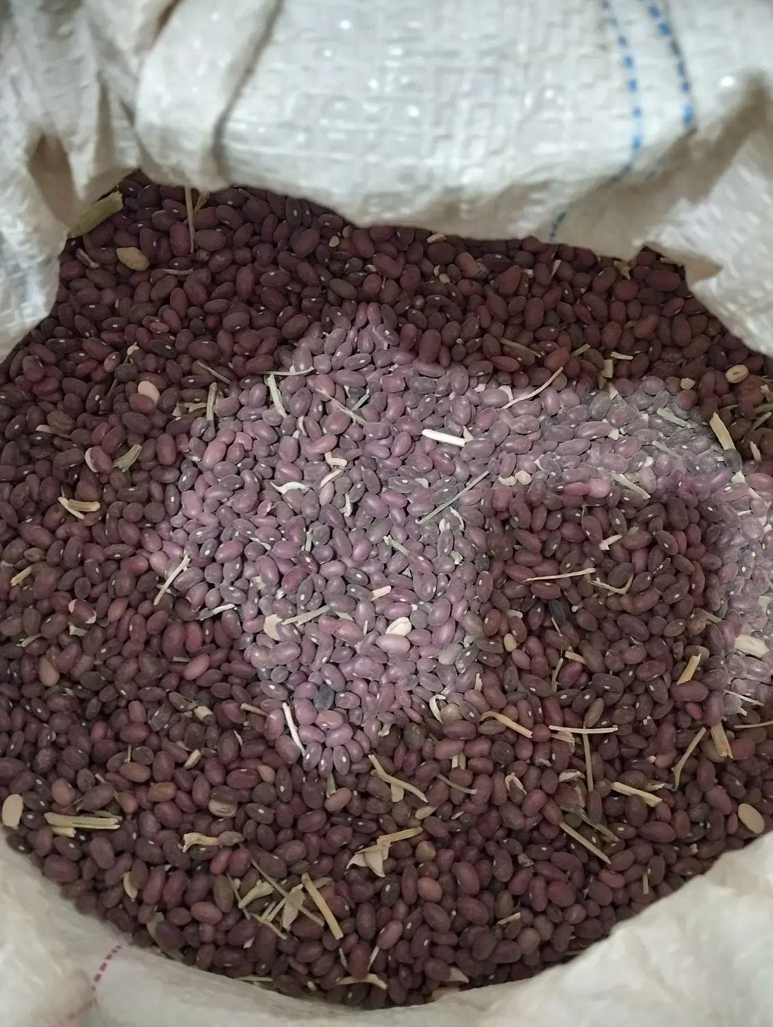 لوبیا قرمز|خوردنی و آشامیدنی|ارژن, |دیوار