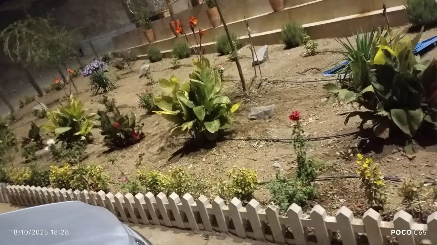 طراحی و اجرای باغ و باغچه صفر تا صد|خدمات پیشه و مهارت|سنندج, |دیوار