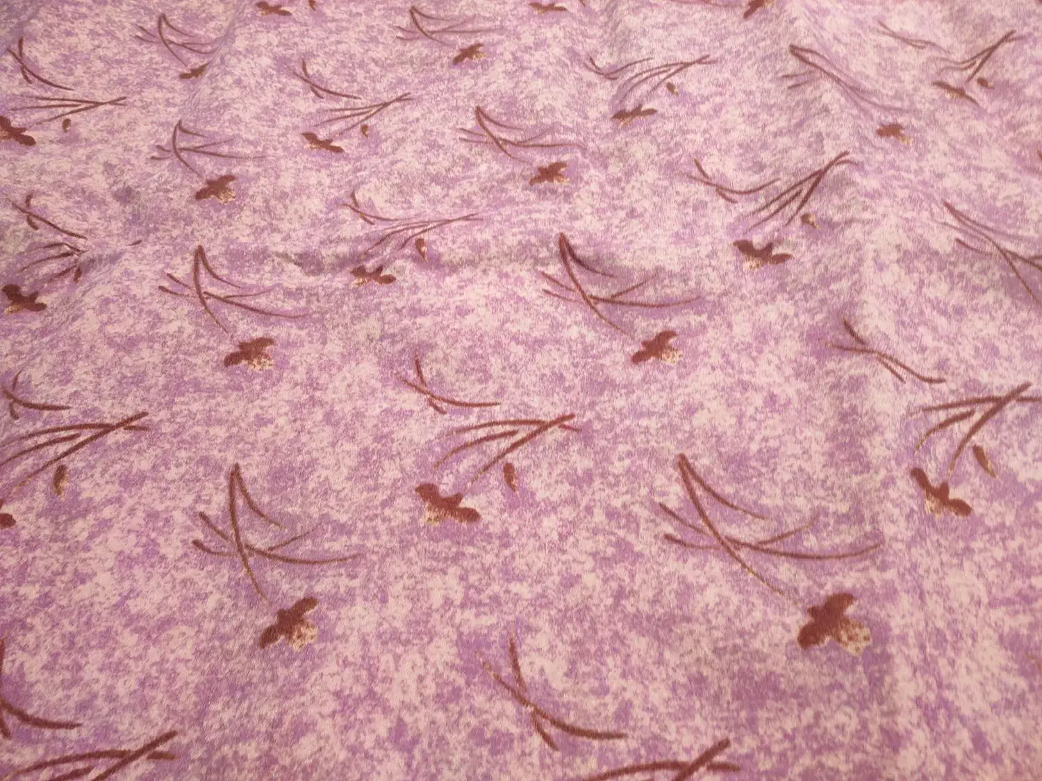 موکت کارکرده دوازده متری و نه متری|موکت|رامسر, |دیوار