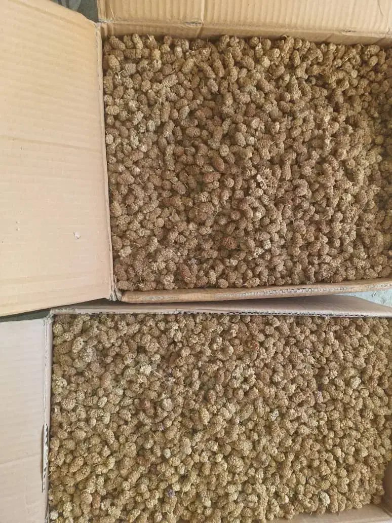 توت خشک درجه یک کردستان .فروش به صورت عمده|عمده‌فروشی|رشت, چله خانه|دیوار