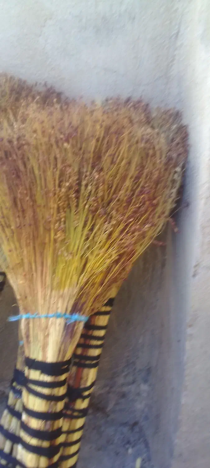 جارو وفرش|لوازم نظافت|ایوان, |دیوار