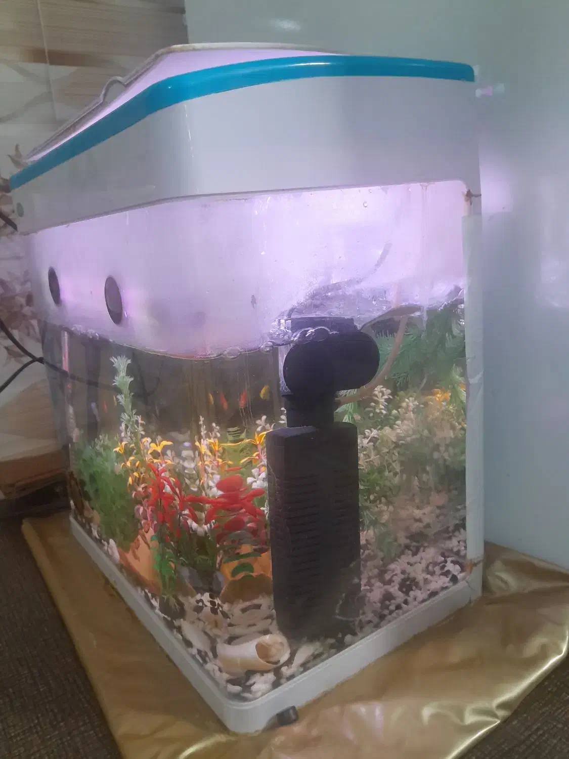 آکواریوم فروشی|ماهی|بروجرد, |دیوار