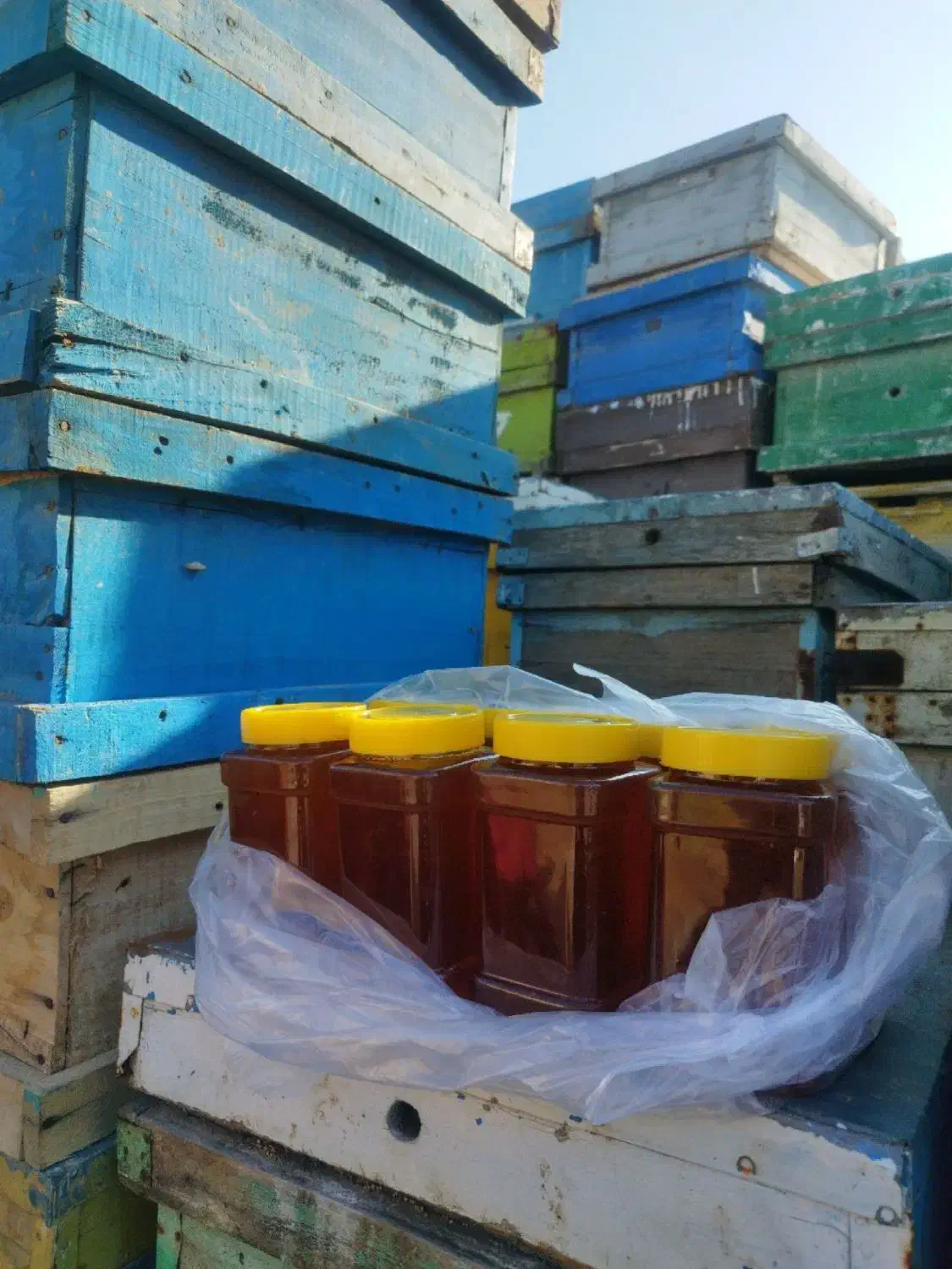 عسل طبیعی|خوردنی و آشامیدنی|الوند, |دیوار