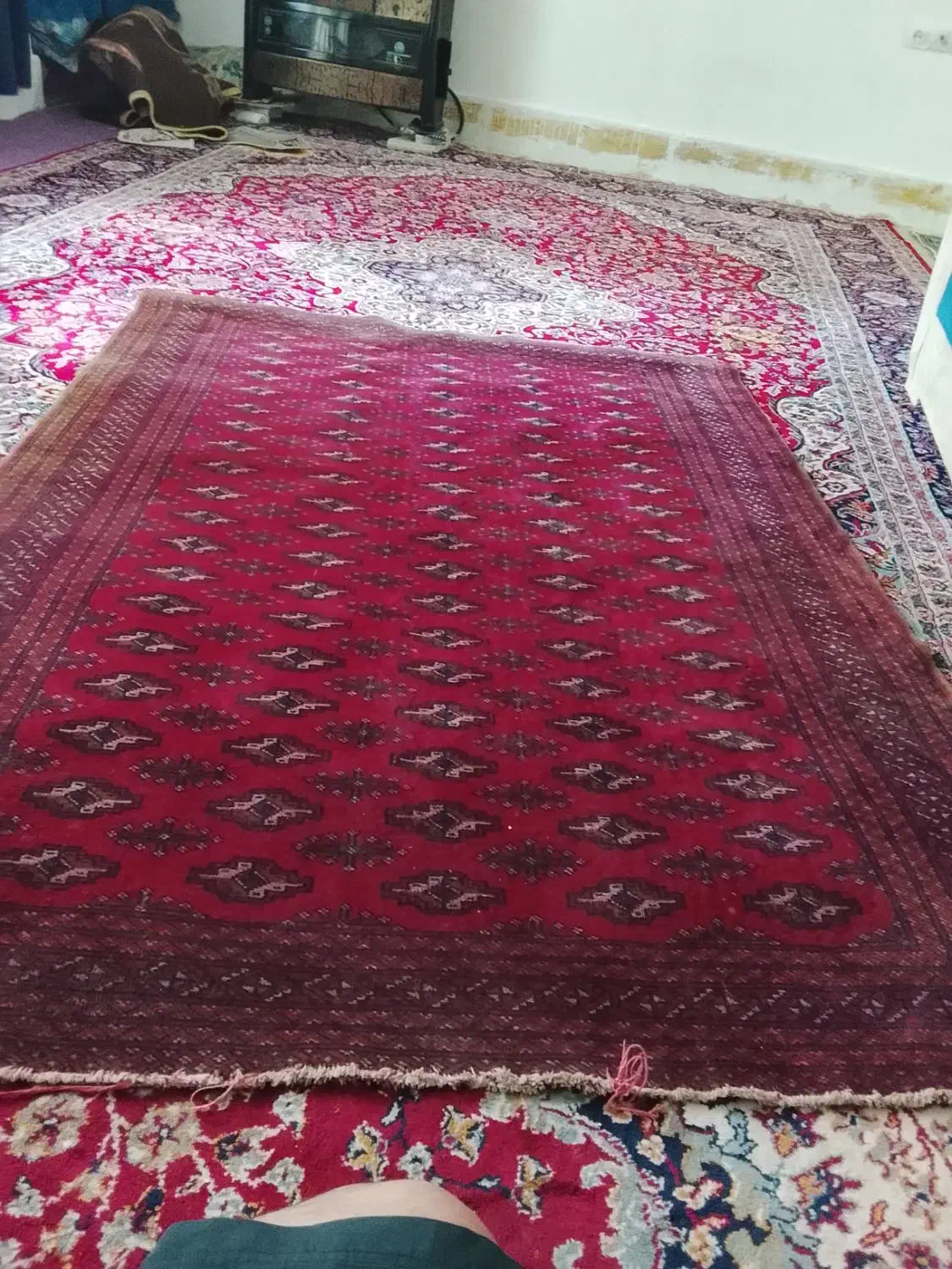 قالیچه دست بافت|فرش|مشهد, بهمن|دیوار