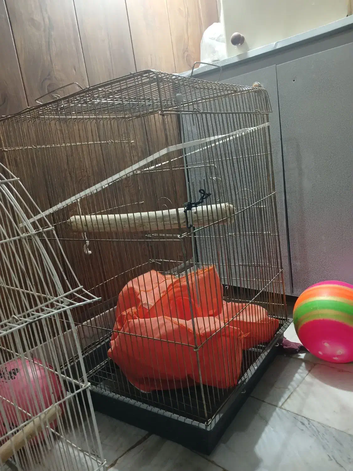 قفس پرنده عروس هلندی|لوازم جانبی حیوانات|کرمانشاه, |دیوار