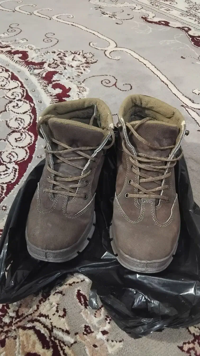 کفش|کیف، کفش، کمربند|نیشابور, فیض آباد|دیوار