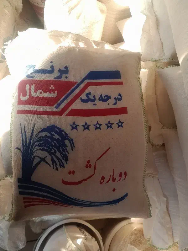 بر نج طارم هاشمی خوش پخت|عمدهفروشی|قم, انصارالحسین|دیوار