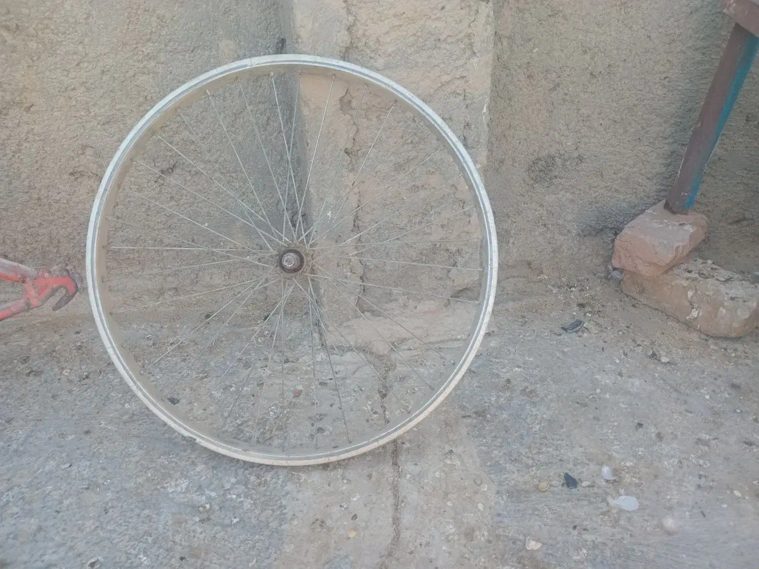 تنه و رینگ دوچرخه ۲۴|دوچرخه، اسکیت، اسکوتر|زهک, |دیوار