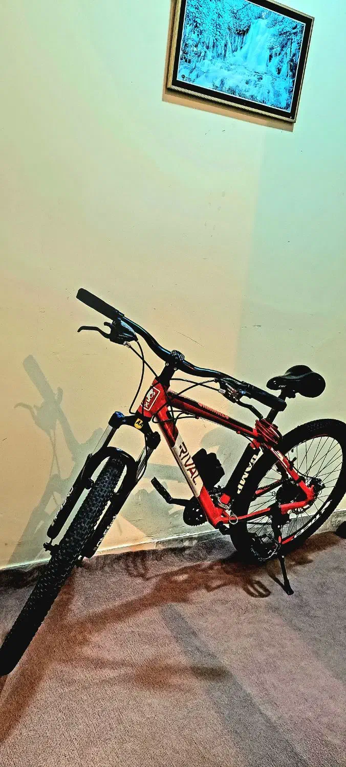 دو چرخه ریوال سند دار|دوچرخه، اسکیت، اسکوتر|تیکمه داش, |دیوار