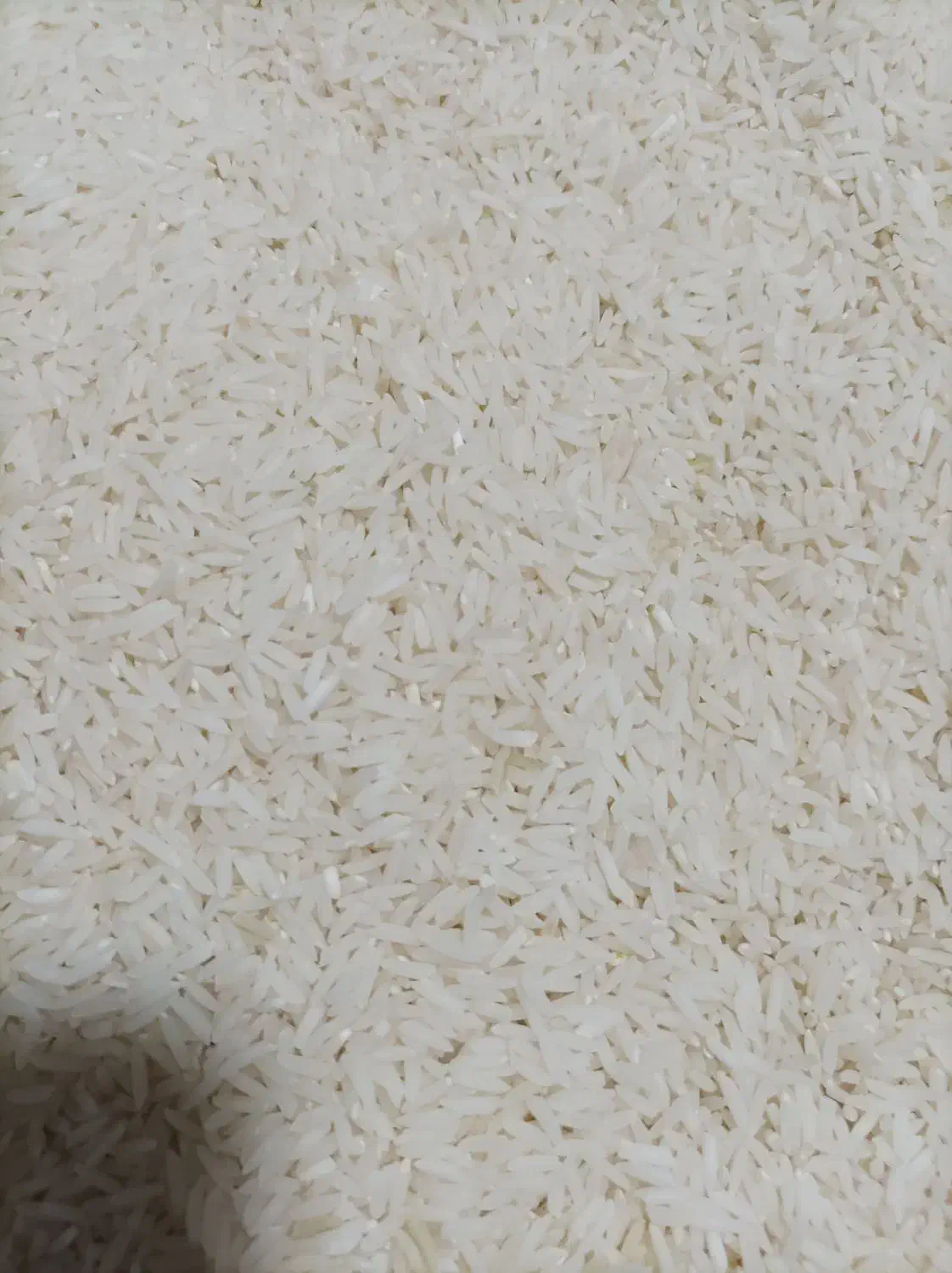 برنج طارم دم سیاه|خوردنی و آشامیدنی|کلاله, |دیوار