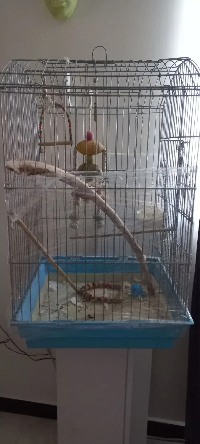 دو تا قفس بزرگ طوطی سانان|لوازم جانبی حیوانات|قدس, شهر‌قدس|دیوار