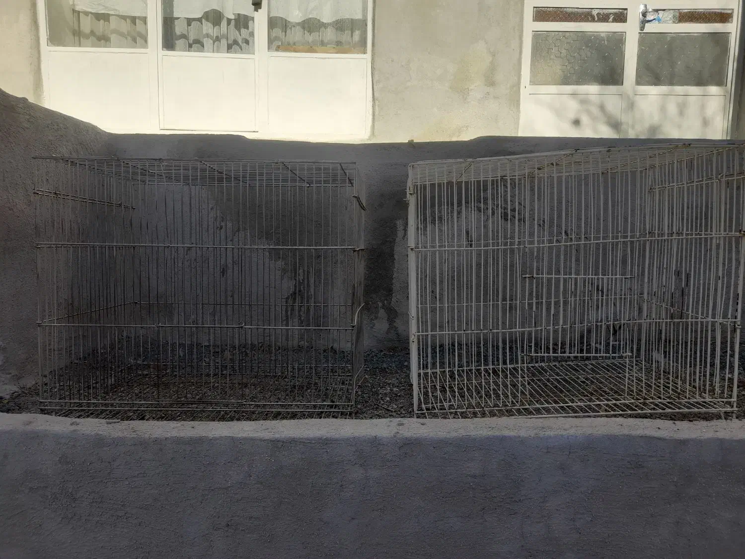 قفس پرنده، ساده|لوازم جانبی حیوانات|تربت‌حیدریه, سرمحله|دیوار