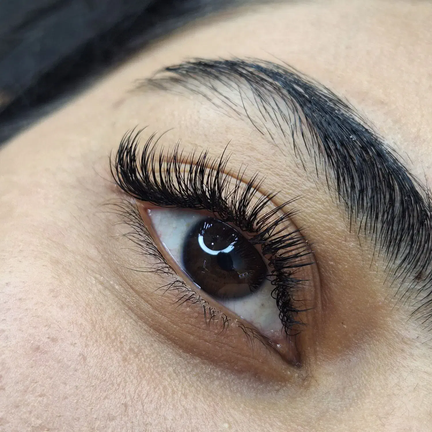 اکستنشن مژه رایگان|خدمات آرایشگری و زیبایی|اصفهان, کلمان|دیوار