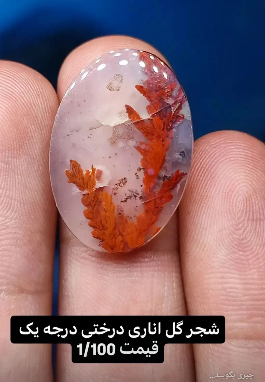 شجر درختی بی نظیر|جواهرات|سرایان, |دیوار