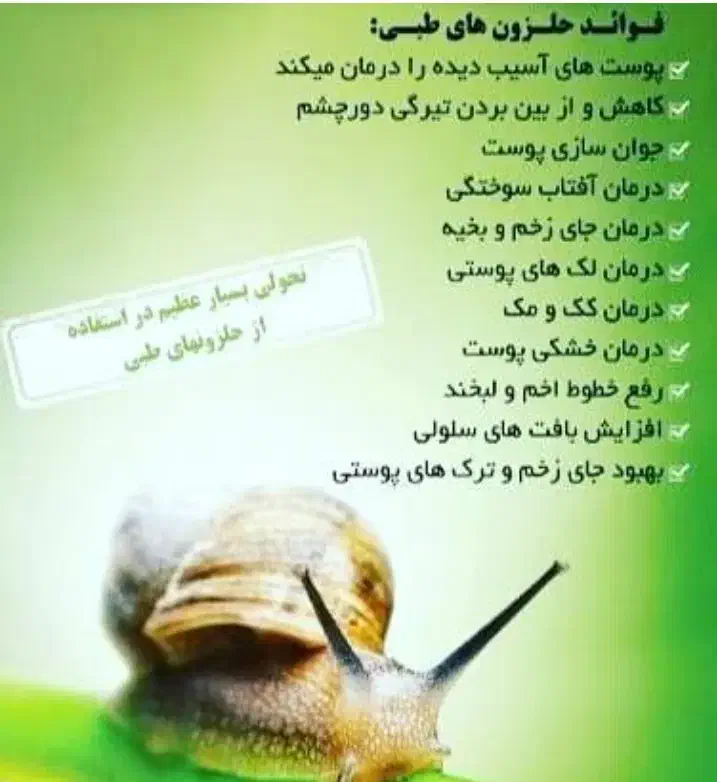 حلزون‌ تخم گذار|خزنده|بم, |دیوار