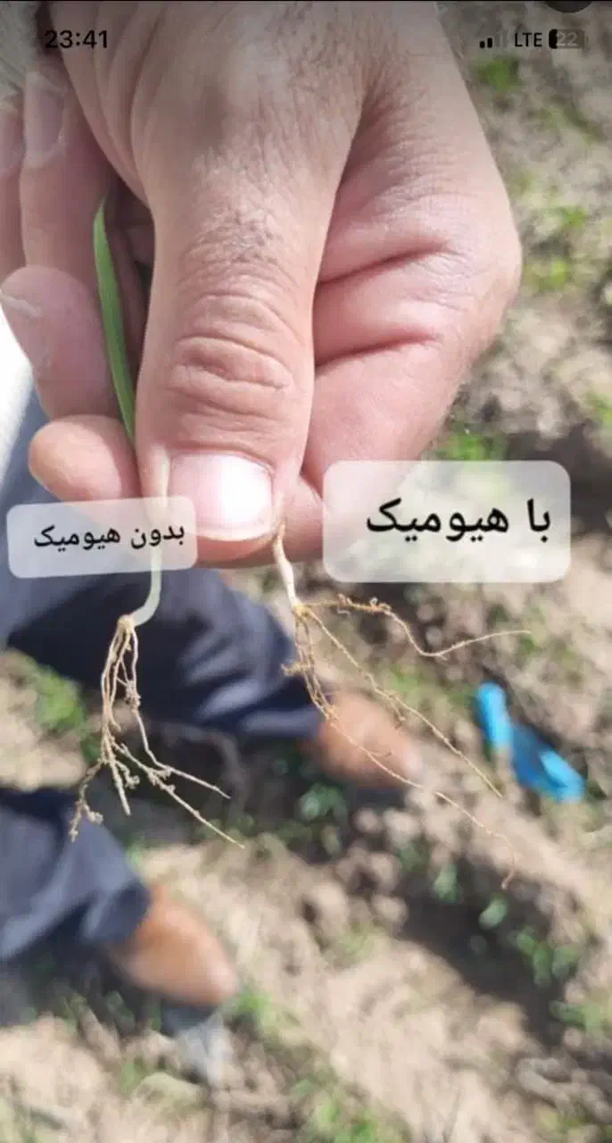 کود مایع هیومیک برند سبوسیب بمب بذرمال|خدمات باغبانی و درختکاری|دهگلان, |دیوار