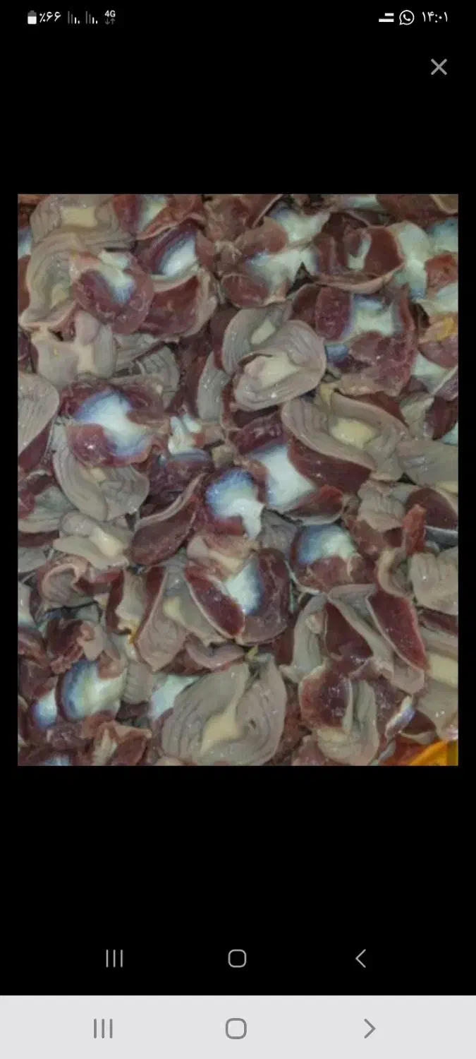 فروش سنگدان مرغ گوشتی|خوردنی و آشامیدنی|اصفهان, شهرک صنعتی جی|دیوار