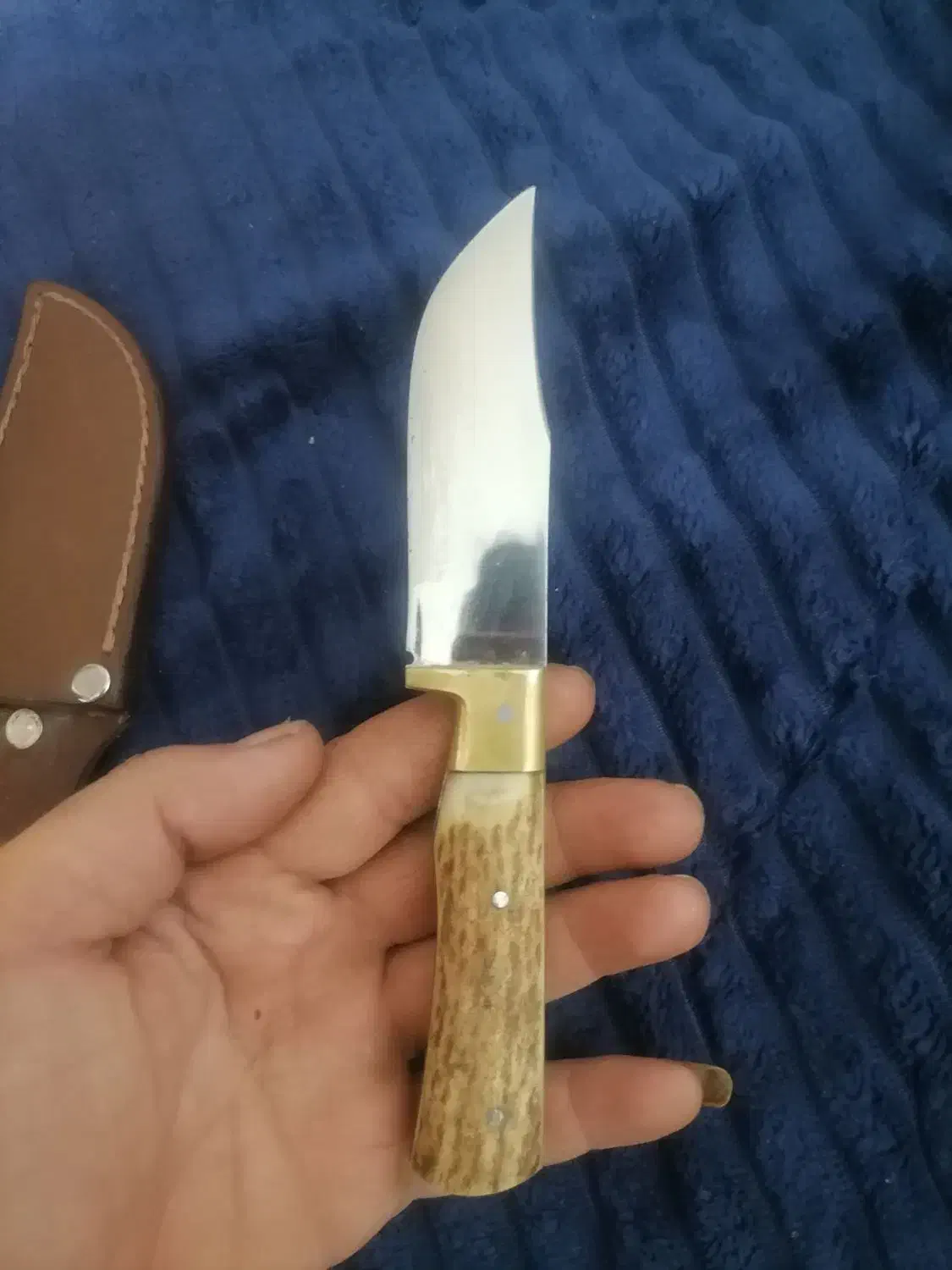 چاقو تمیز|ظروف پخت‌وپز|گرگان, |دیوار