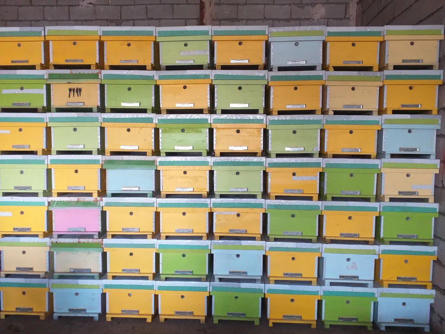 فروش کندو و طبق درجه یک|لوازم جانبی حیوانات|خوی, |دیوار