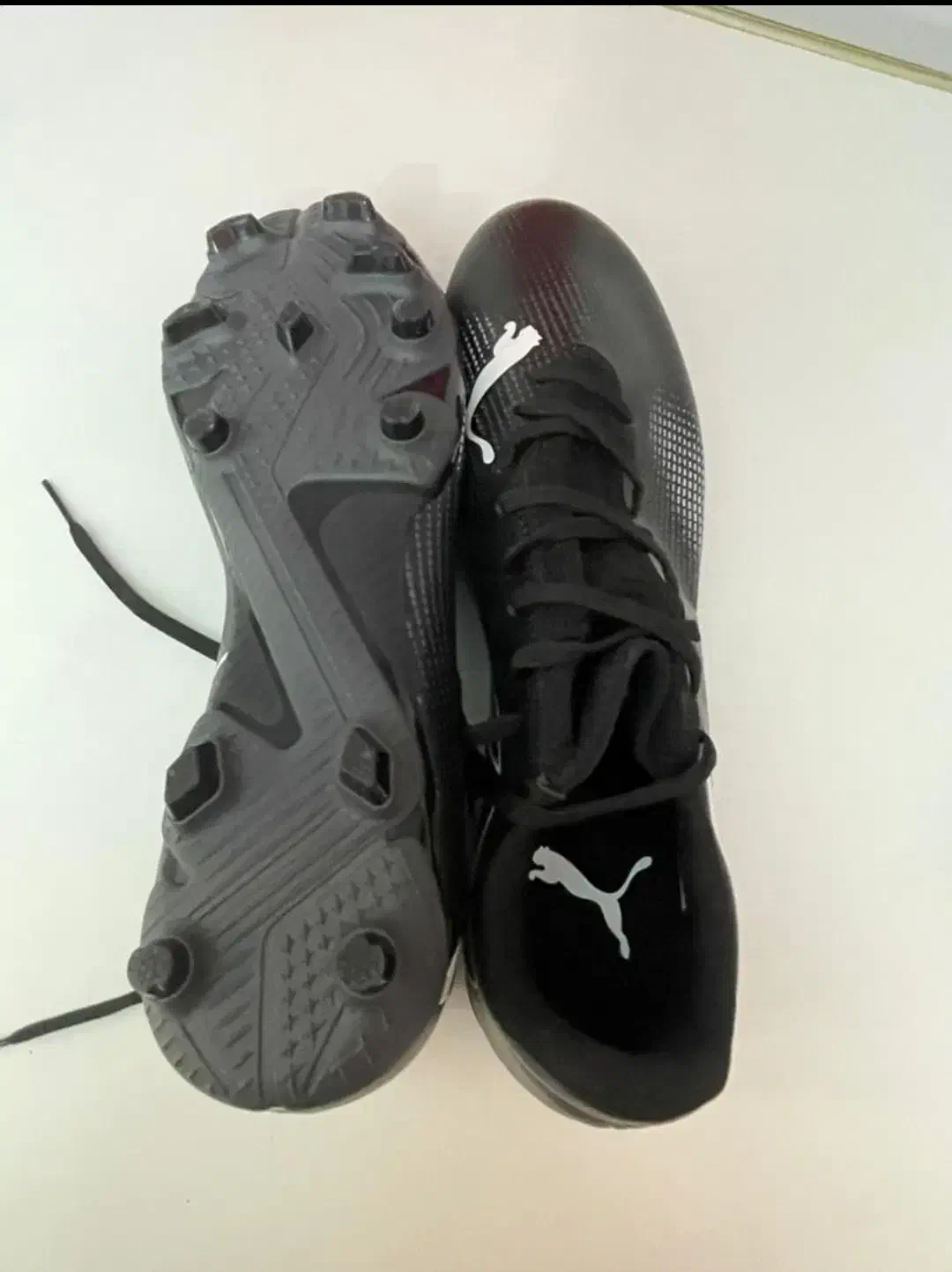 کفش استوک دار اصل|کیف، کفش، کمربند|جهرم, |دیوار